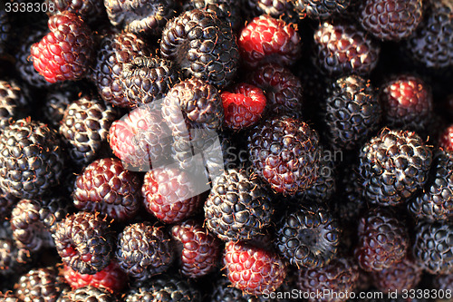 Image of blackberries background