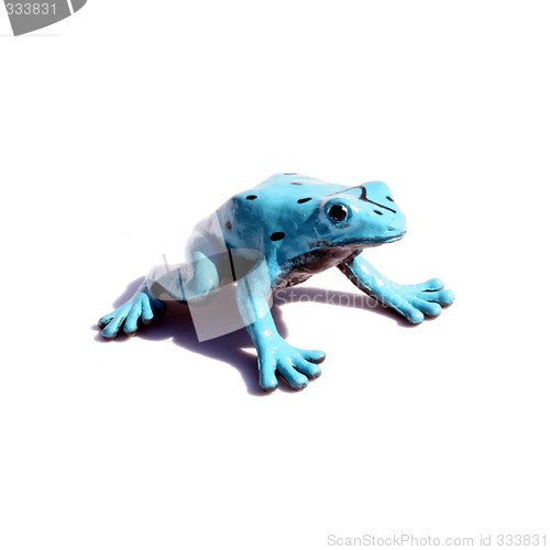 Image of toy frog on white background