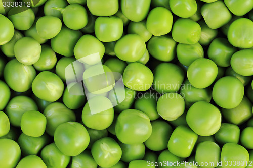 Image of green pea background