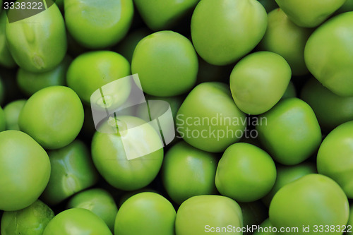Image of green pea background