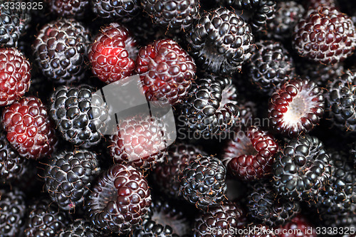 Image of blackberries background