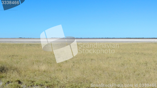 Image of Makgadikgadi Pan