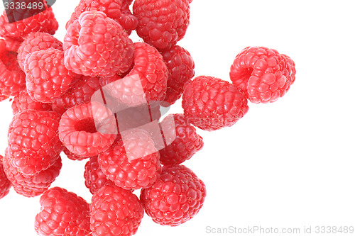 Image of raspberries isolated