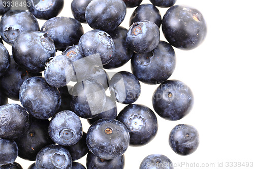 Image of blueberries isolated