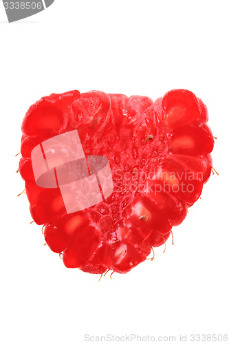 Image of raspberry isolated