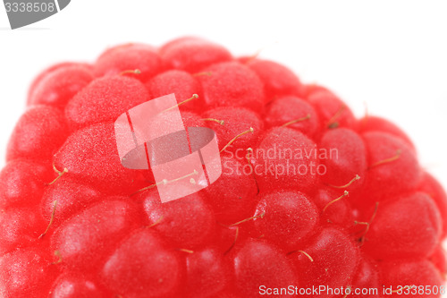 Image of raspberry isolated