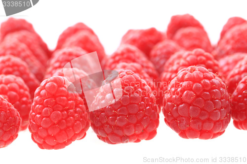 Image of raspberries isolated