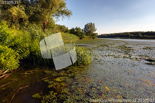 Image of Peaceful place at the pond