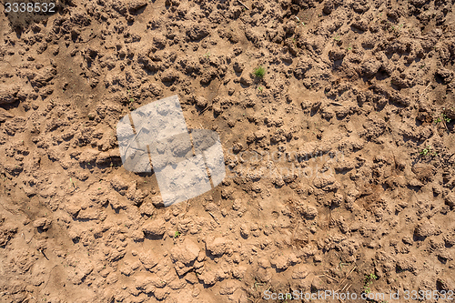 Image of Dry soil closeup before rain