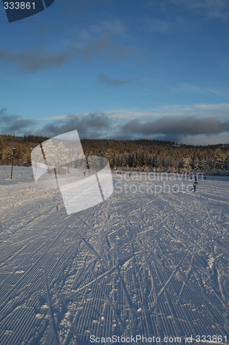 Image of cross country ski slope