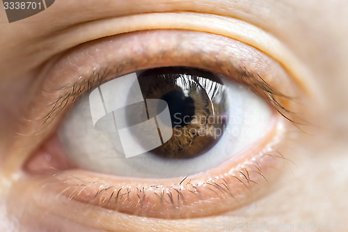 Image of Brown eye with lens