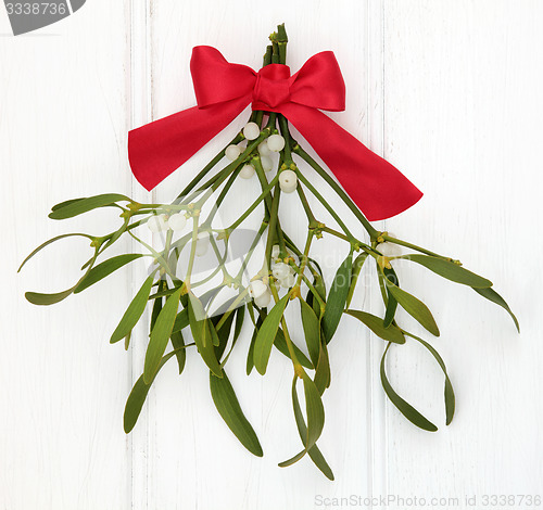 Image of Under the Mistletoe