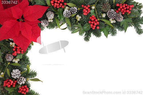 Image of Poinsettia Flower Border 