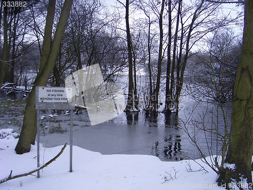 Image of frozen pond