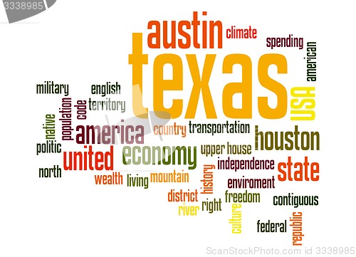 Image of Texas word cloud