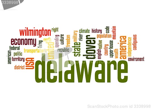 Image of Delaware word cloud