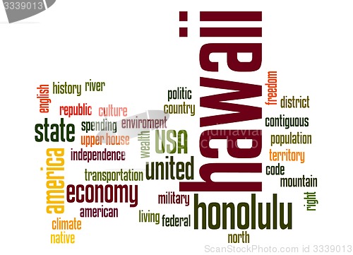 Image of Hawaii word cloud