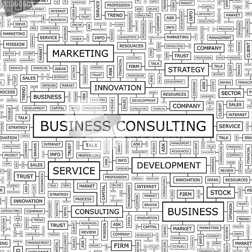 Image of BUSINESS CONSULTING