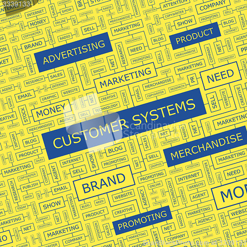 Image of CUSTOMER SYSTEMS