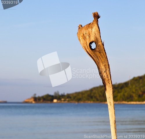 Image of  sunrise in  kho   bay isle   beach    rocks  cane   china sea 