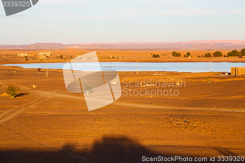 Image of sunshine in the lake yellow morocco sand     dune