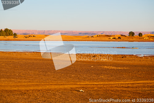 Image of sunshine in   yellow  desert  sand and     dune