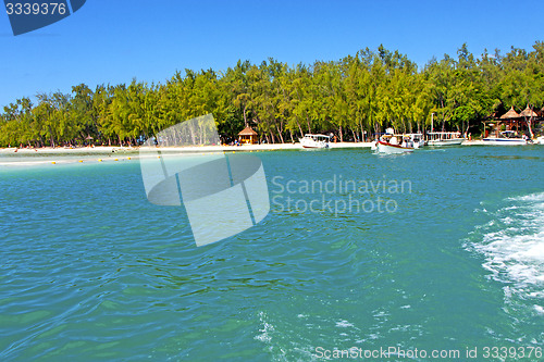 Image of beach ile du cerfs seaweed in pier   sand isle  sky and rock