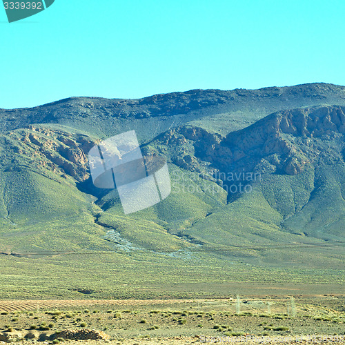 Image of bush  in    valley  morocco     africa the atlas dry mountain  
