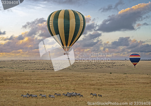 Image of Balloon safari