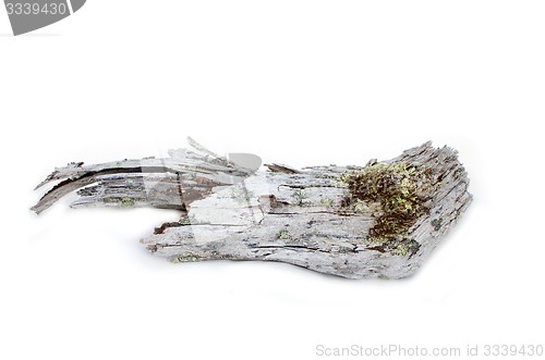 Image of  wood is very old on white background