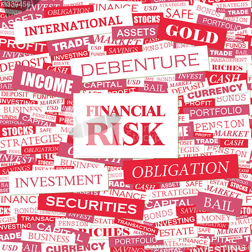 Image of FINANCIAL RISK