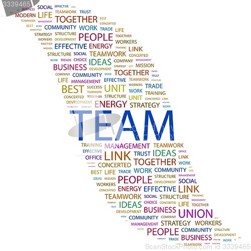 Image of TEAM