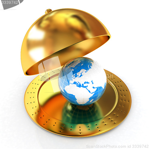 Image of Serving dome or Cloche and Earth