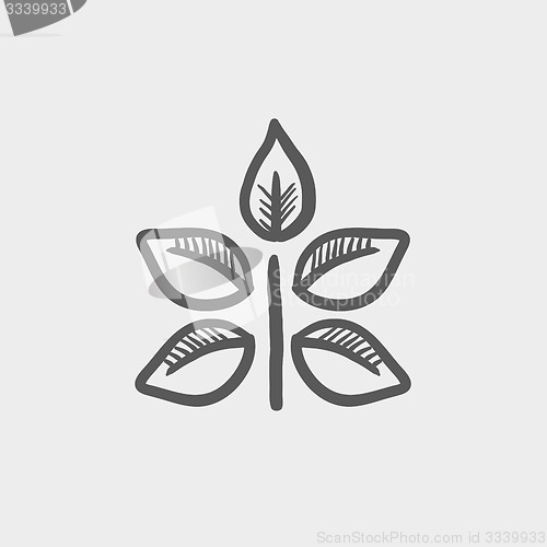 Image of Fresh leaves thin line icon
