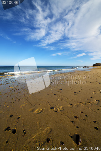 Image of footstep musk pond  coastline and summer 