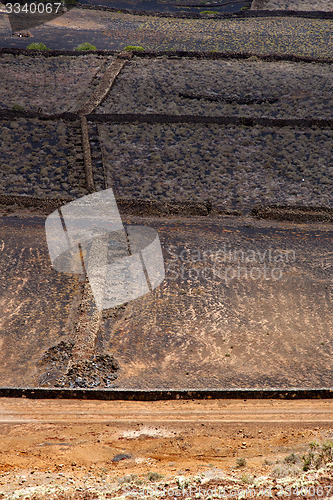 Image of street   viticulture  winery lanzarote spain 