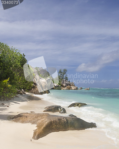 Image of tropical beach