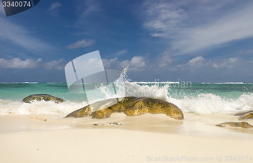 Image of Deserted tropical beach