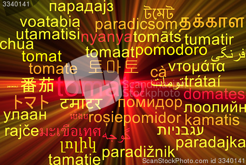 Image of Tomato multilanguage wordcloud background concept glowing