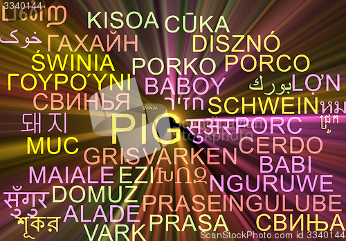 Image of Pig multilanguage wordcloud background concept glowing