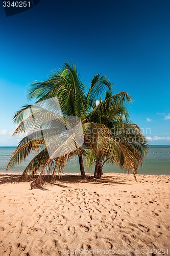 Image of Beach on tropical island. Clear blue water, sand, palms. 