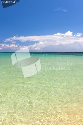 Image of Beach on tropical island. Clear blue water and sky 