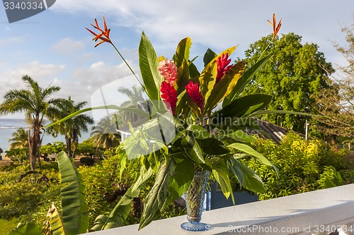 Image of beautiful tropical red ginger flowers