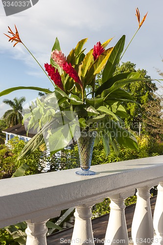 Image of beautiful tropical red ginger flowers