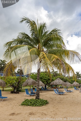 Image of Sunbed and umbrella on a tropical beach