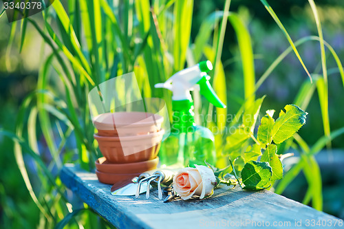 Image of garden tools