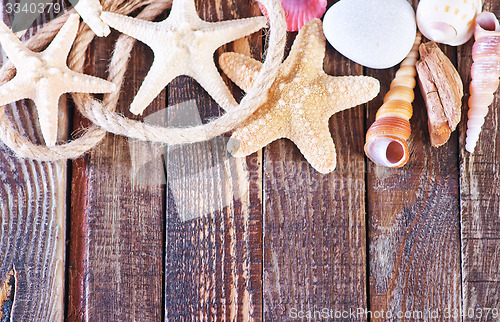 Image of sea shells