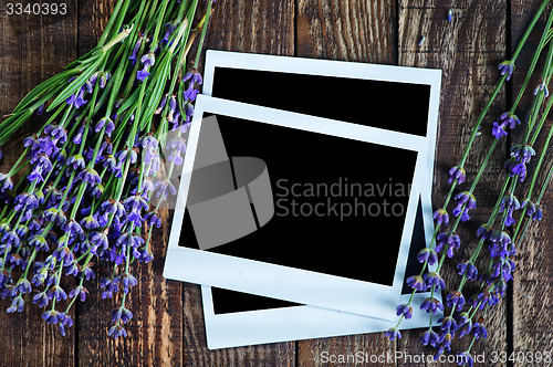 Image of lavender