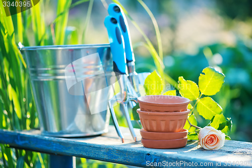 Image of garden tools