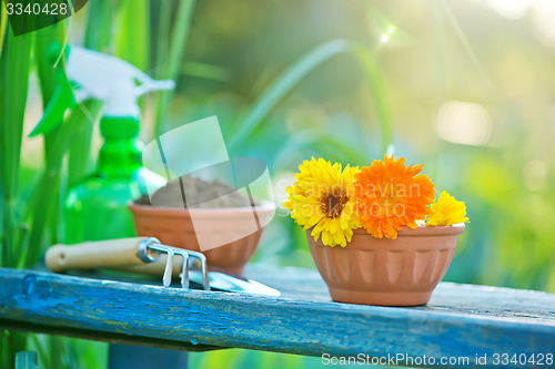 Image of garden tools